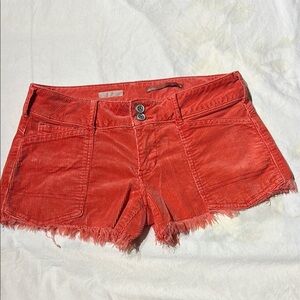Women's Red Corduroy Shorts 26